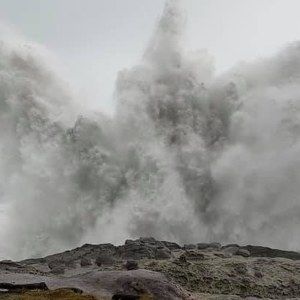 Meet your Posher, Annie